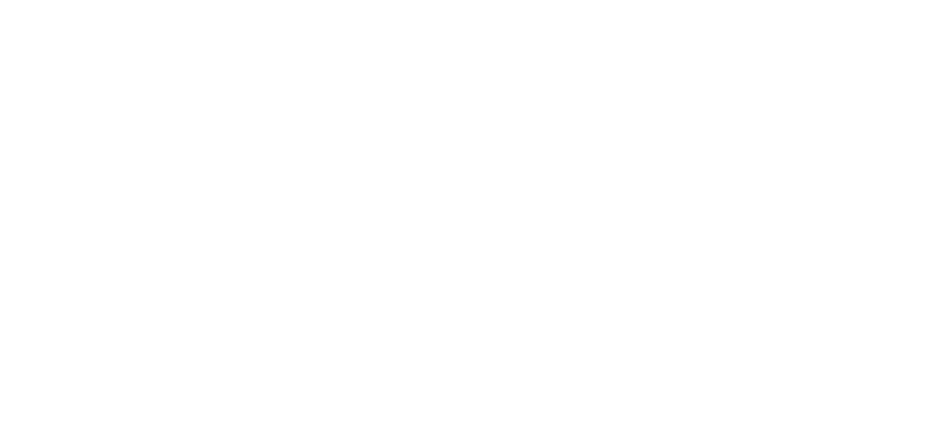 Network Logo white